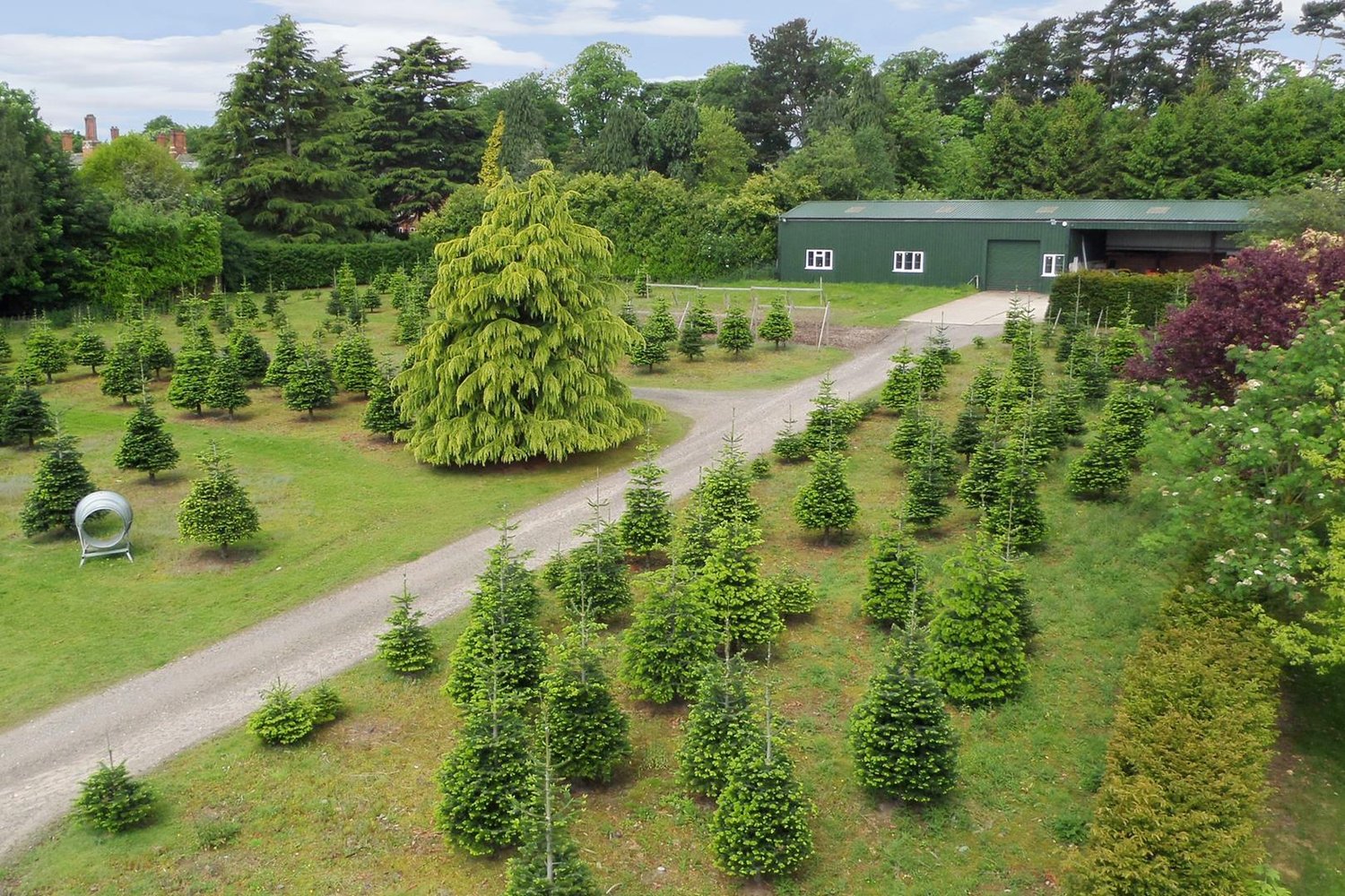 Cedar House York Road, Dunnington, York