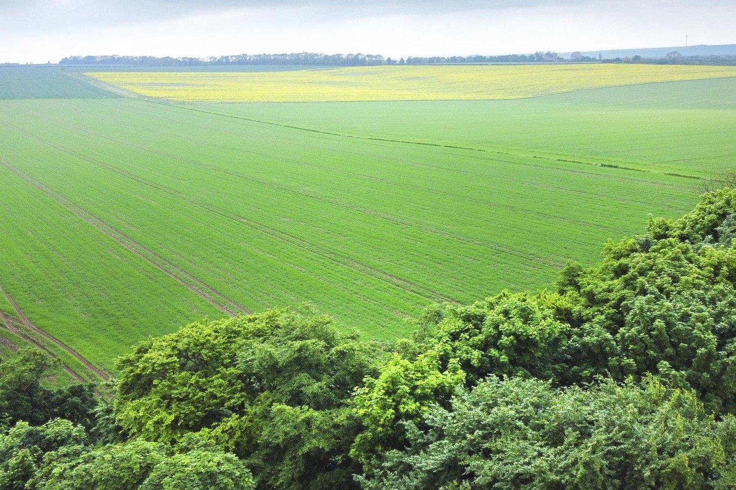  High Hunsley Farm , High Hunsley, Cottingham