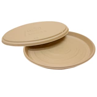 Bagasse