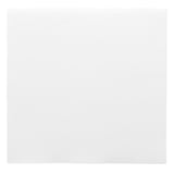 TOVAGLIOLI ECOLABEL DOUBLE POINT  18 G/M2 39x39 CM BIANCO TISSUE (1200 UNITÀ)