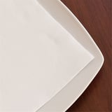 TOVAGLIOLI ECOLABEL DOUBLE POINT  18 G/M2 39x39 CM BIANCO TISSUE (1200 UNITÀ)