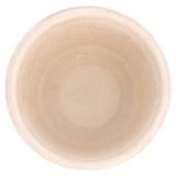 TERRINE BIONIC 55 ML Ø 6x3 CM NATURALE BAGASSA (1000 UNITÀ)