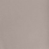 TOVAGLIA ROTOLO  55 G/M2 1,20x50 M GRIGIO AIRLAID (1 UNITÀ)