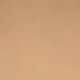 TU E IO PRE. 120 CM (40 SER.) SPUNBOND  60 G/M2 0,4x48 M SABBIA PP (6 UNITÀ)