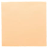 TOVAGLIOLI ECOLABEL DOUBLE POINT  18 G/M2 39x39 CM AVORIO TISSUE (1200 UNITÀ)