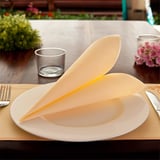 TOVAGLIOLI ECOLABEL DOUBLE POINT  18 G/M2 39x39 CM AVORIO TISSUE (1200 UNITÀ)