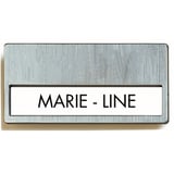 CARTELLI IDENTIFICAZIONE   6,7x4 CM ARGENTO PLASTICA (25 UNITÀ)