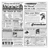 CARTA ANTIGRASSO BASKET PFAS FREE 'TIMES' 35 G/M2 31x38 CM BIANCO PERGAMANA ANTIGRASSI (1000 UNITÀ)