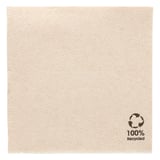 TOVAGLIOLI ECOLABEL DOUBLE POINT  19 G/M2 20x20 CM NATURALE TISSUE RICICLATO (2400 UNITÀ)