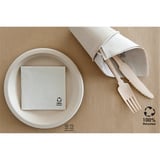 TOVAGLIOLI ECOLABEL DOUBLE POINT  19 G/M2 20x20 CM NATURALE TISSUE RICICLATO (2400 UNITÀ)