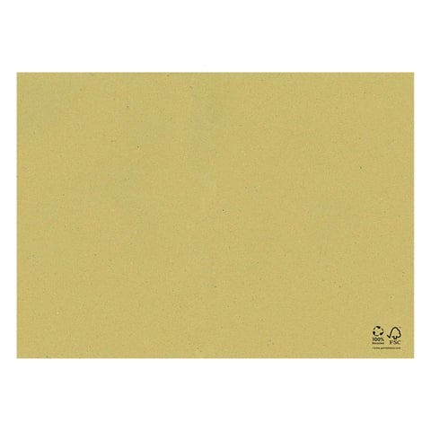 TOVAGLIETTE FEEL GREEN  90 G/M2 31x43 CM PAGLIA CARTA RICICLATA (1250 UNITÀ)