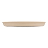 BASI RECIPIENTI PIZZA BIONIC  Ø 35,7x3,3 CM NATURALE BAGASSA (150 UNITÀ)