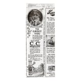 CARTA ANTIGRASSO APERTO 2 LATI PFAS FREE 'TIMES' 35 G/M2 9+3x22 CM BIANCO PERGAMANA ANTIGRASSI (500 UNITÀ)