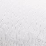 2 ROTOLI DA CUCINA ECOLABEL A 2 VELI FEEL GREEN  24,5 G/M2 24,5 CM x 30 M BIANCO CARTA RICICLATA (1 UNITÀ)