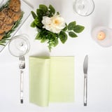 TOVAGLIOLI P. 1/4 LIKE LINEN 'IPANEMA' 70 G/M2 40x40 CM PISTACCHIO SPUNLACE (600 UNITÀ)