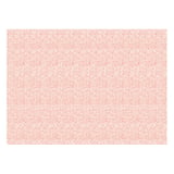 TOVAGLIETTE 'MIAMI' 48 G/M2 31x43 CM SALMONE CELLULOSA (2000 UNITÀ)