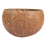CIOTOLE 'COCONUT' 350 ML Ø9,5x8 CM NATURALE NOCE DI COCCO (5 UNITÀ)