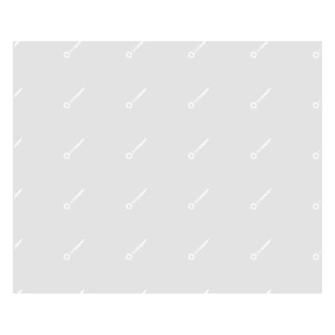 CARTA ANTIGRASSO PFAS FREE 'JUST PAPER' 30 G/M2 31x38 CM TRASLUCIDO CARTA CRISTALLO (1000 UNITÀ)