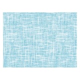 TOVAGLIETTE SPUNBOND  60 G/M2 30x40 CM TURCHESE PP (800 UNITÀ)
