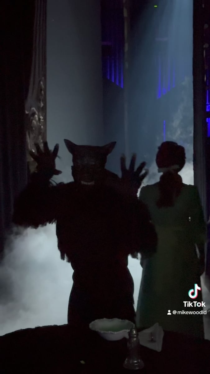 Reel from Beauty & The Beast by @mikewoodld
