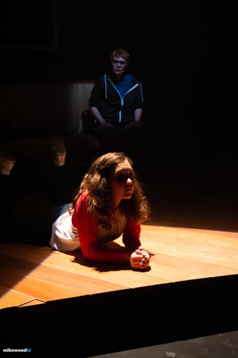 Fun Home, production photo
