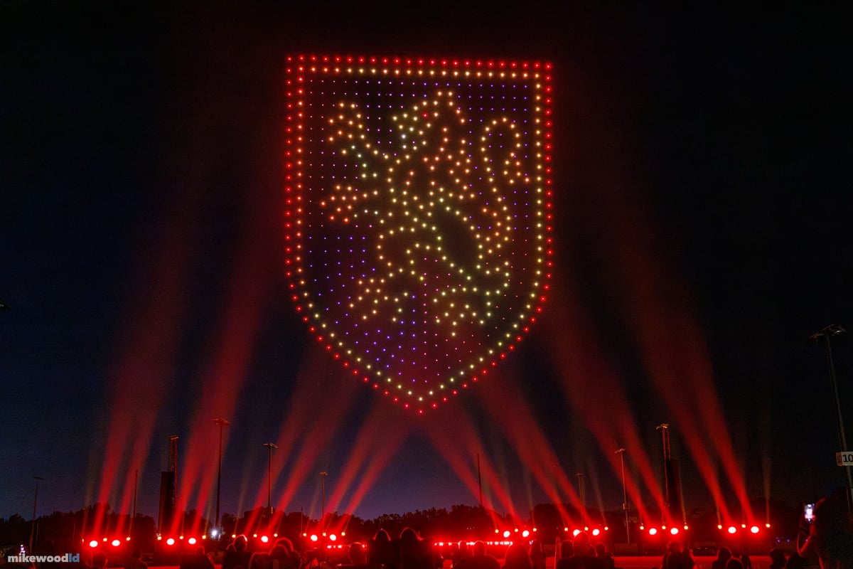 A house banner with a gold lion inside a red drone border, red beams fanning up from the field below.