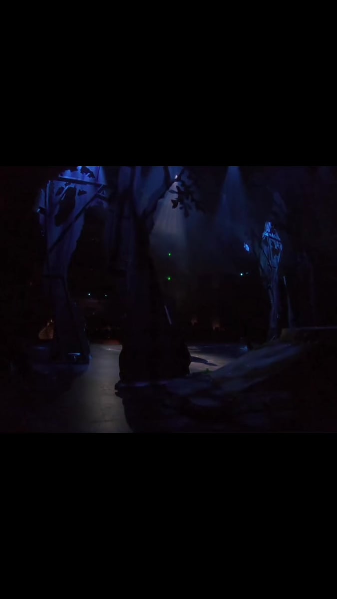 TikTok from Into The Woods by @mikewoodld