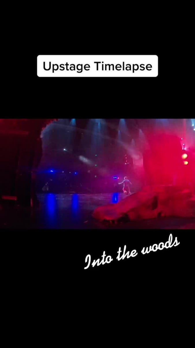 TikTok from Into The Woods by @mikewoodld