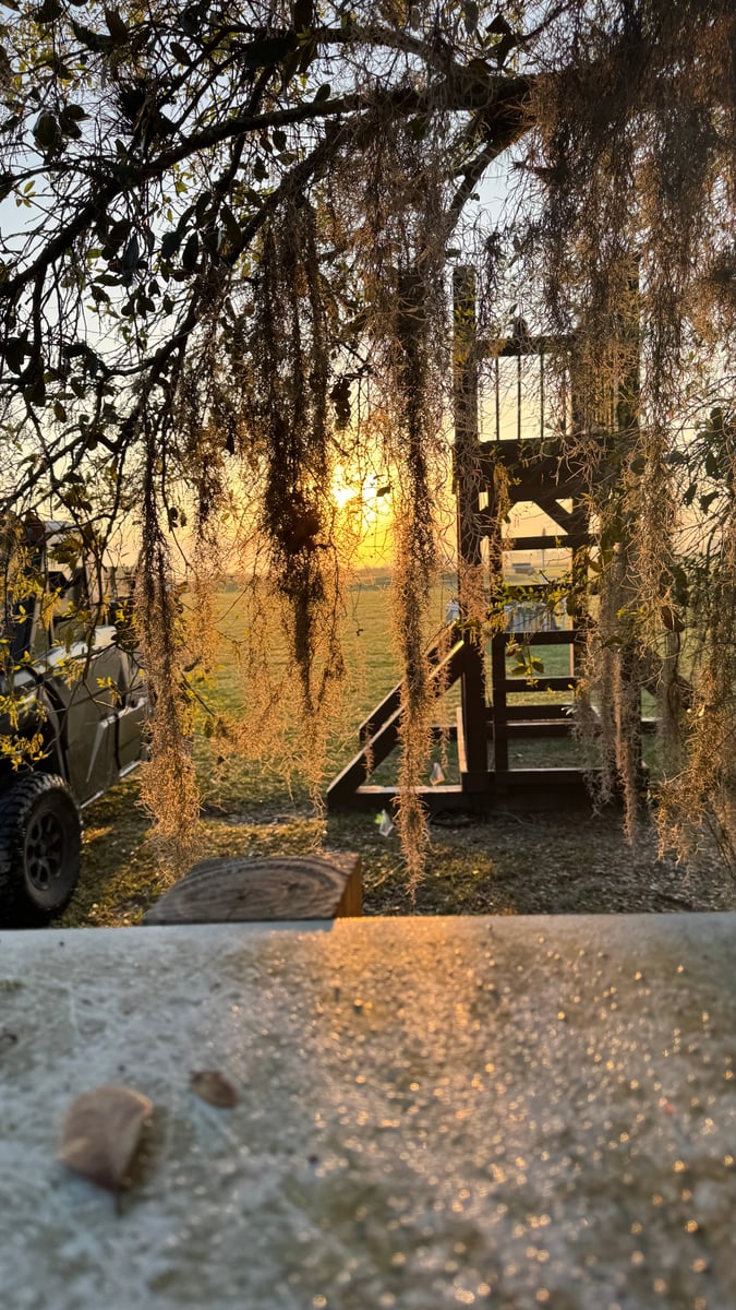 A wooden judges' tower on the cross country course at sunrise, framed by hanging Spanish moss, a UTV parked in the dawn light.