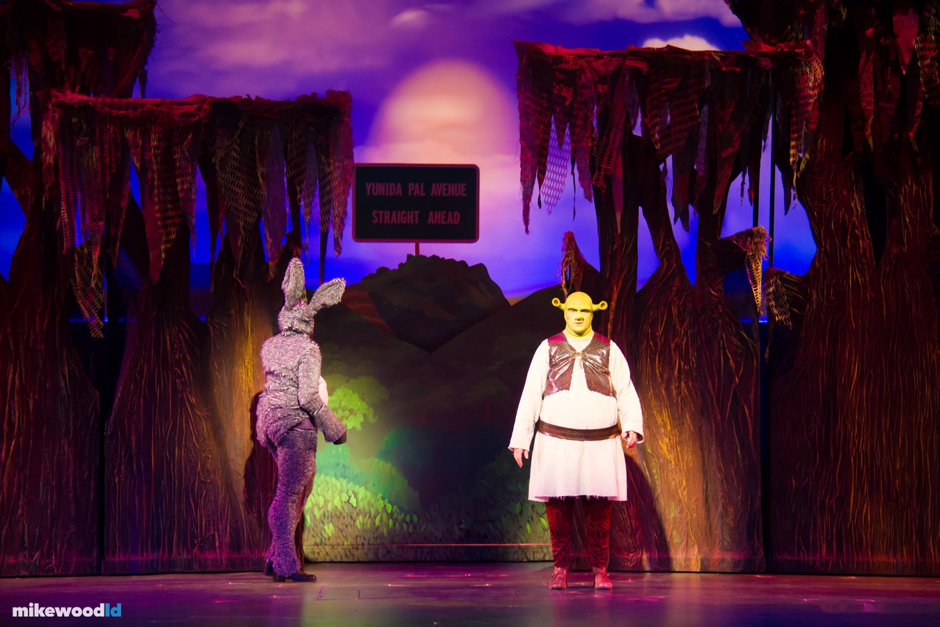 Shrek The Musical, production photo