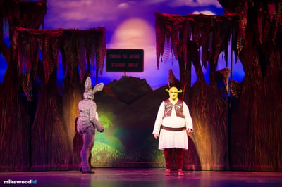 Shrek The Musical, production photo