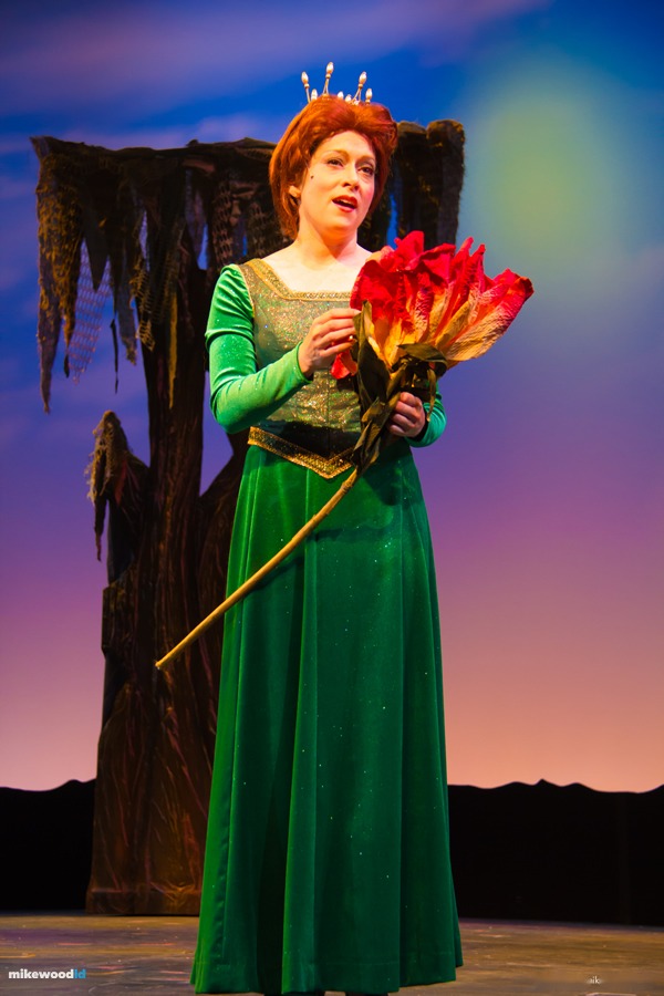 Shrek The Musical, production photo