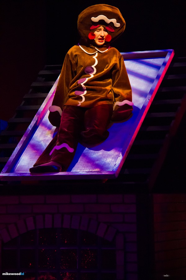 Shrek The Musical, production photo