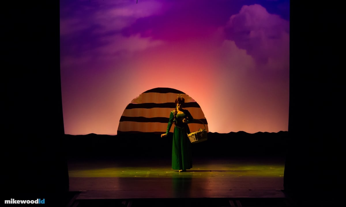 Shrek The Musical, production photo