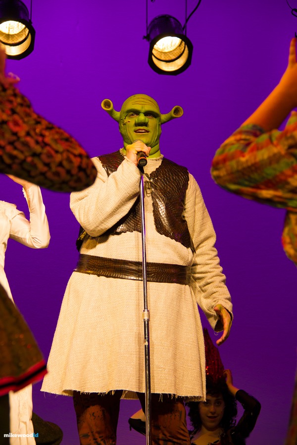Shrek The Musical, production photo