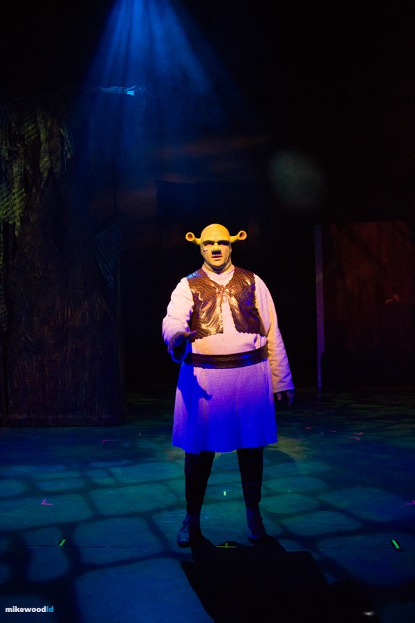 Shrek The Musical, production photo