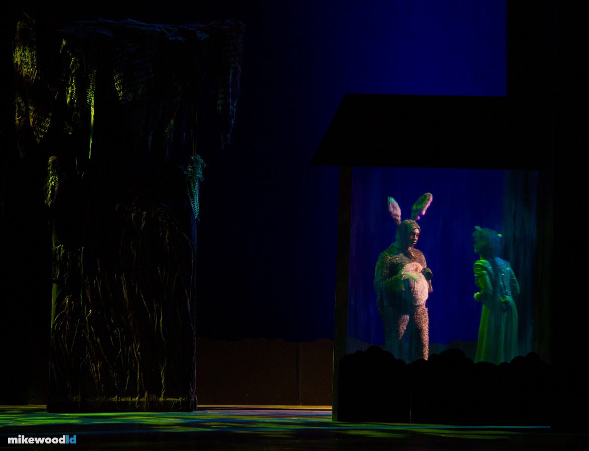 Shrek The Musical, production photo