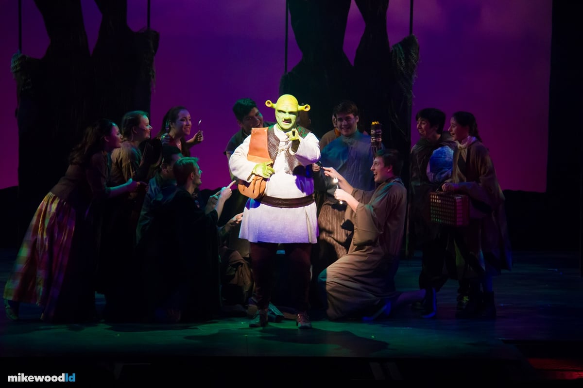 Shrek The Musical, production photo