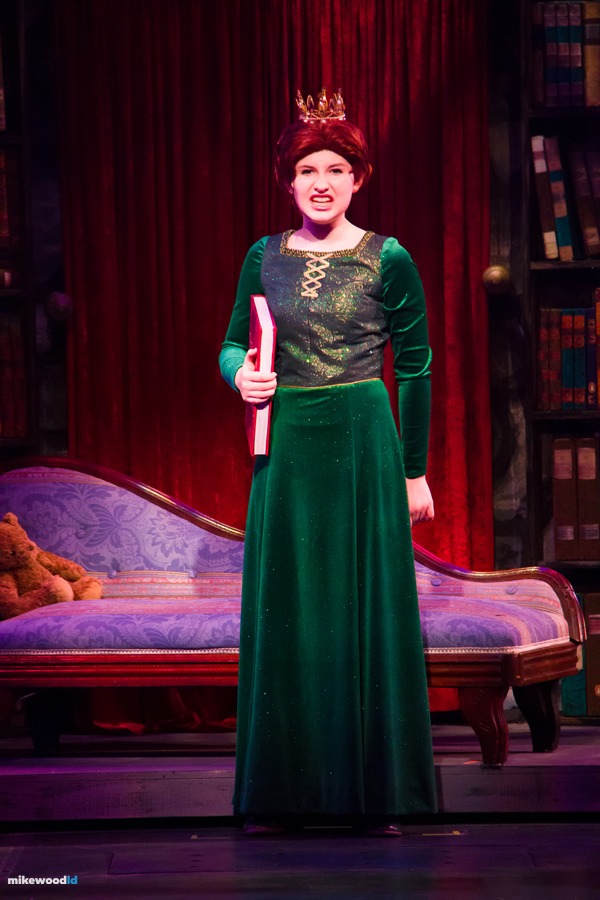 Shrek The Musical, production photo