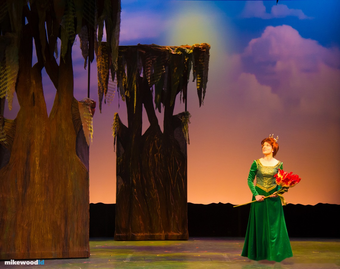 Shrek The Musical, production photo