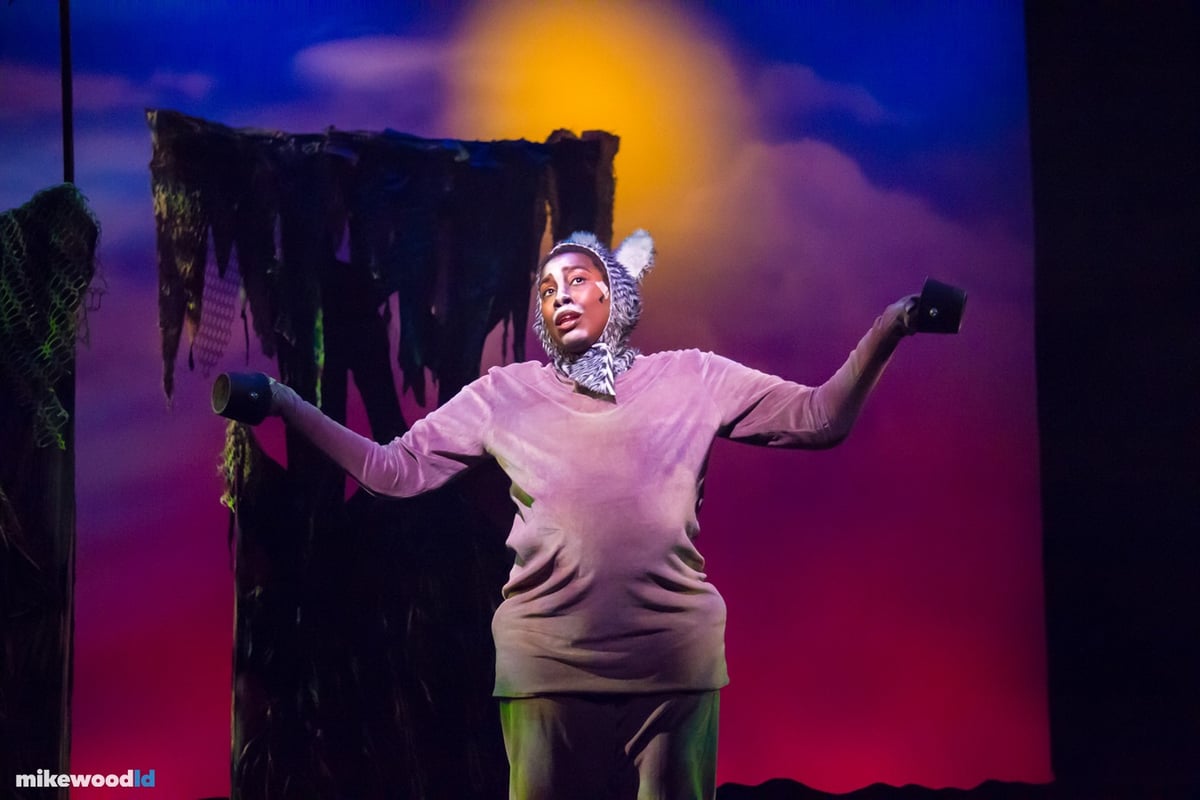 Shrek The Musical, production photo