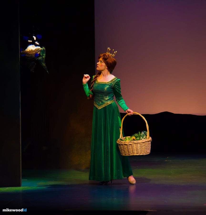 Shrek The Musical, production photo