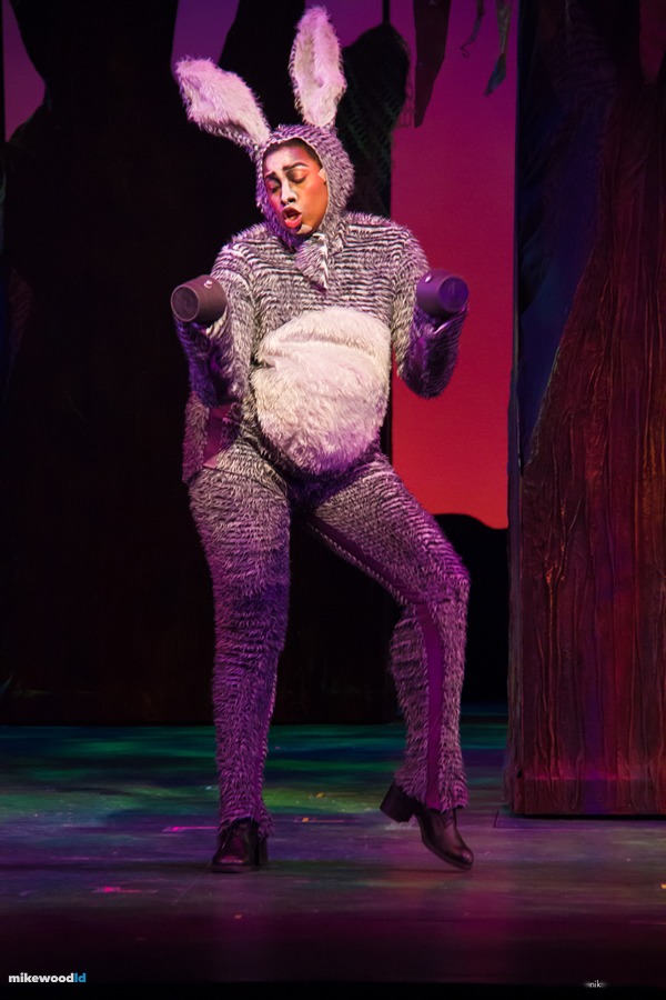 Shrek The Musical, production photo