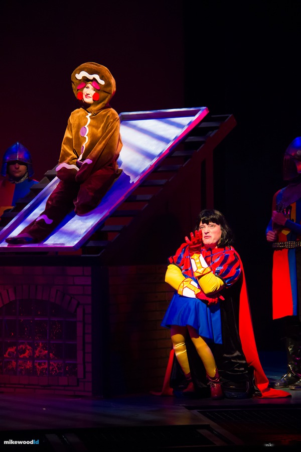Shrek The Musical, production photo