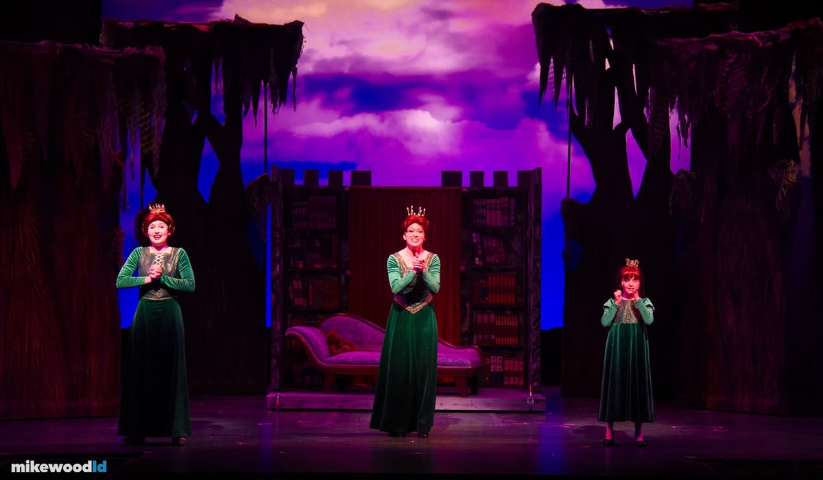 Shrek The Musical, production photo