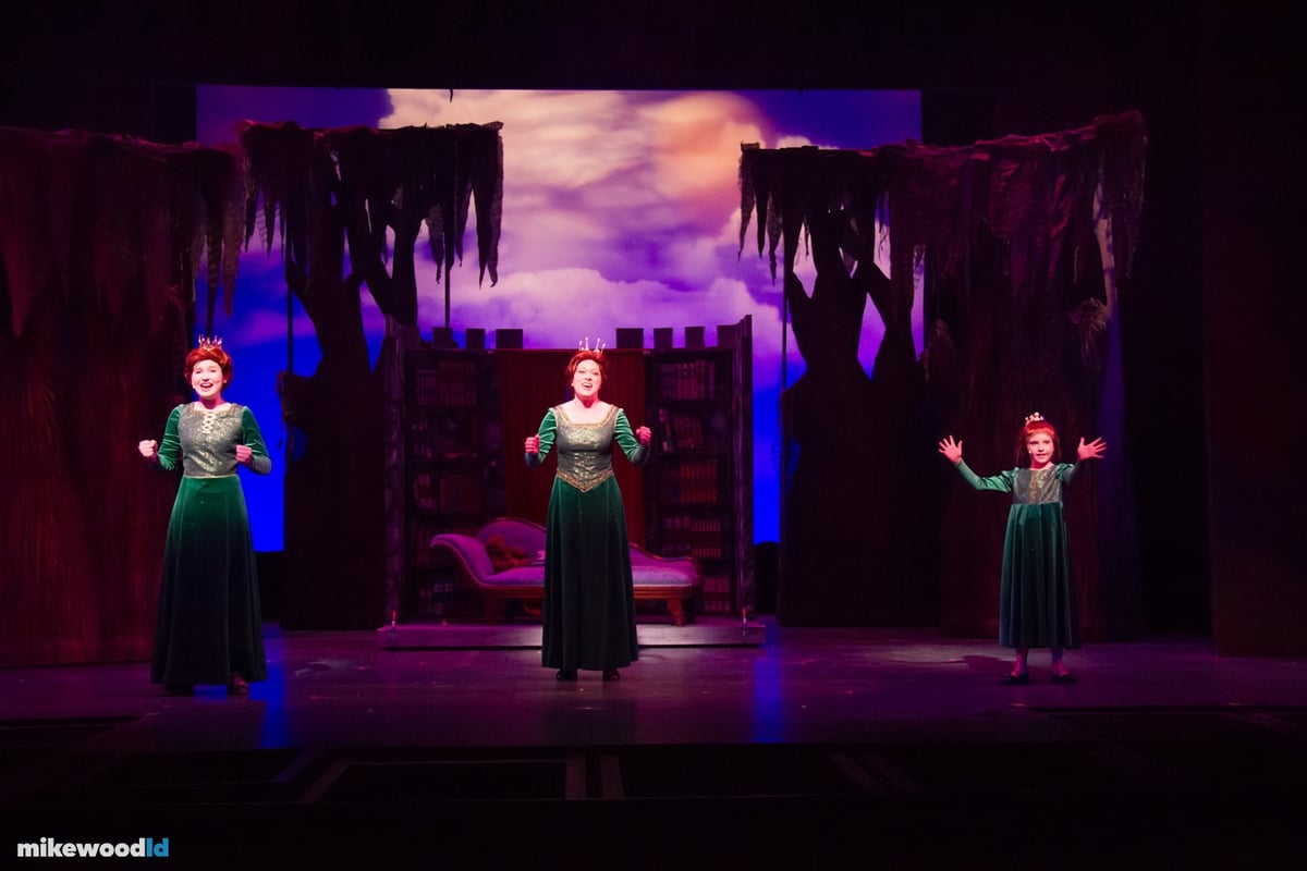 Shrek The Musical, production photo