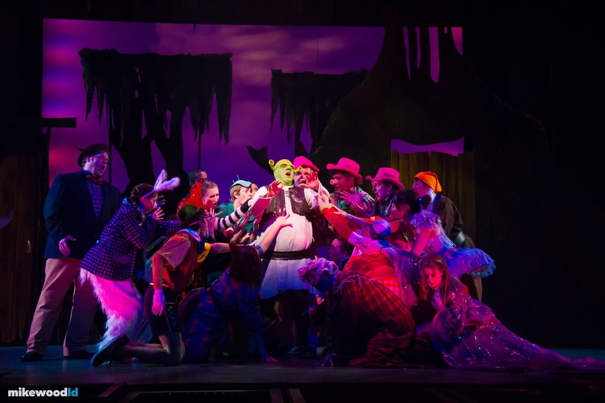 Shrek The Musical, production photo