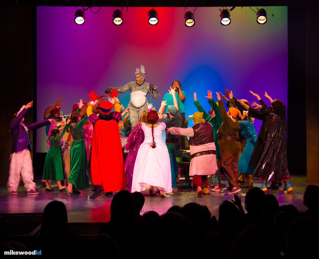 Shrek The Musical, production photo