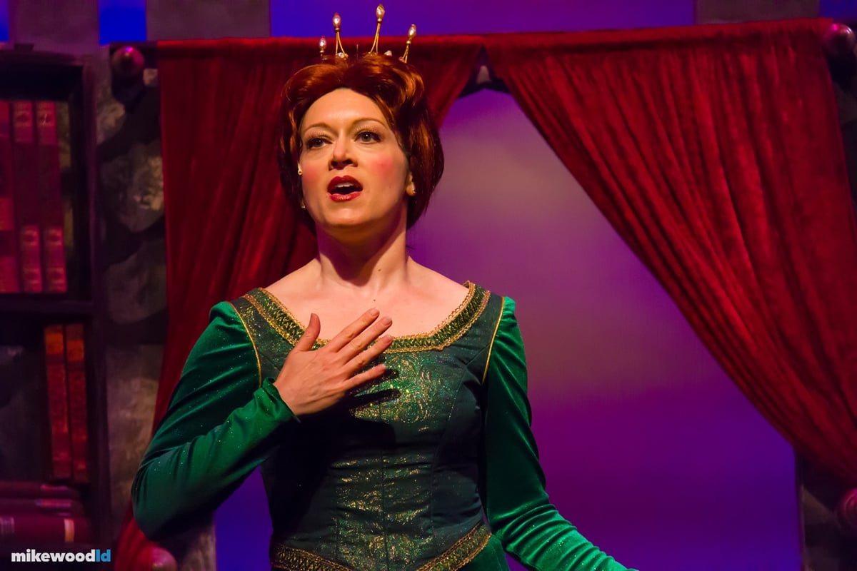 Shrek The Musical, production photo