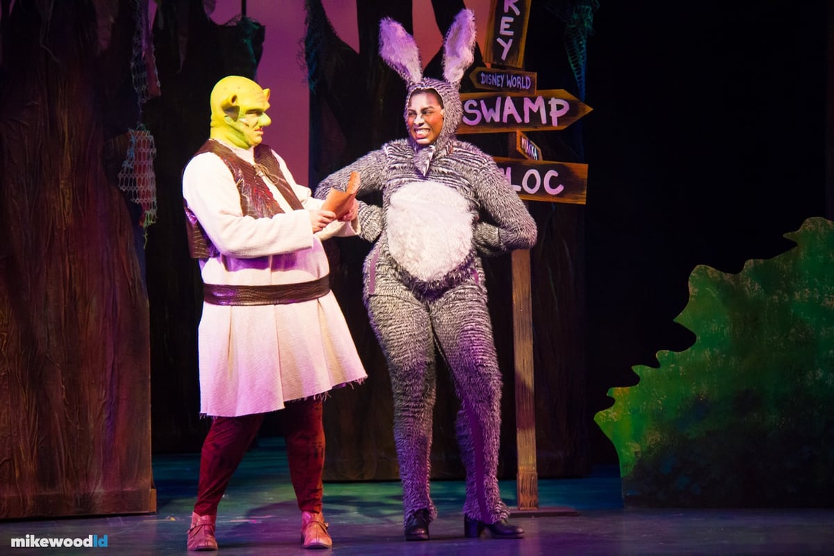 Shrek The Musical, production photo